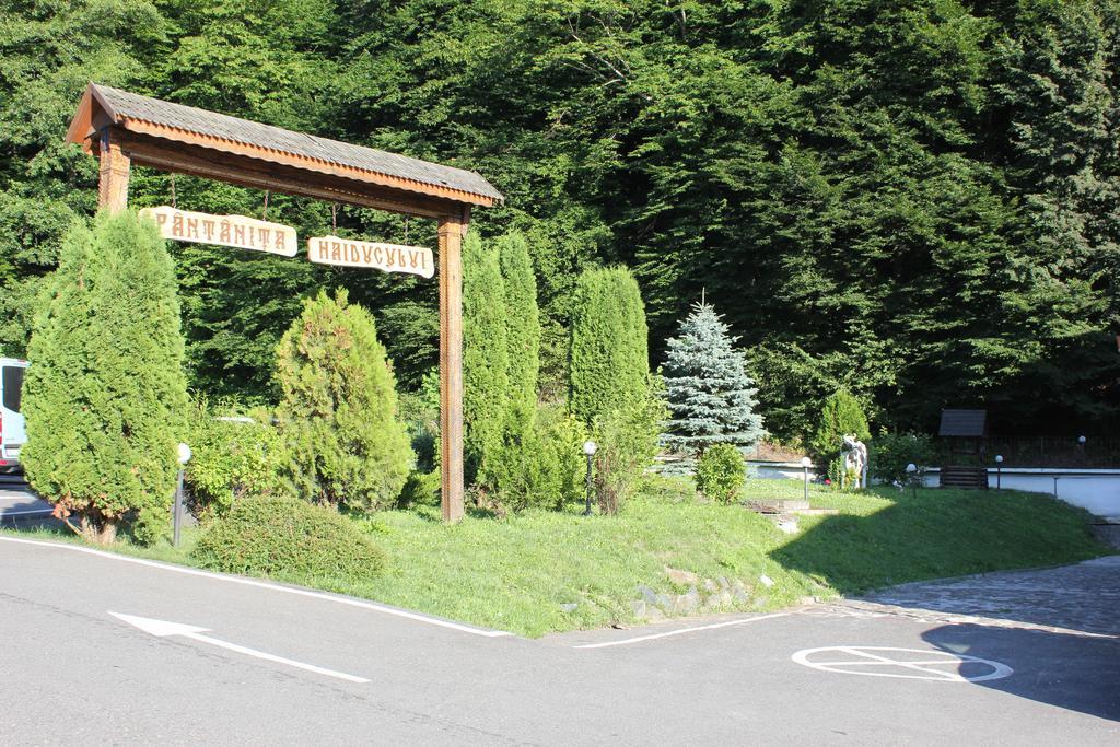 Hotel Fantanita Haiducului Bradu  Екстериор снимка