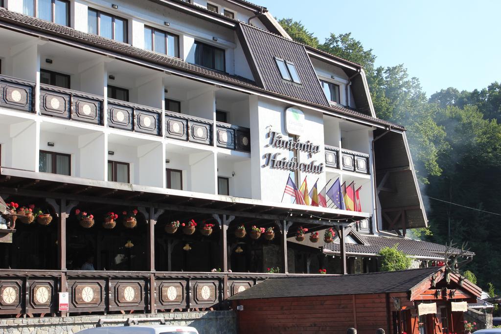 Hotel Fantanita Haiducului Bradu  Екстериор снимка