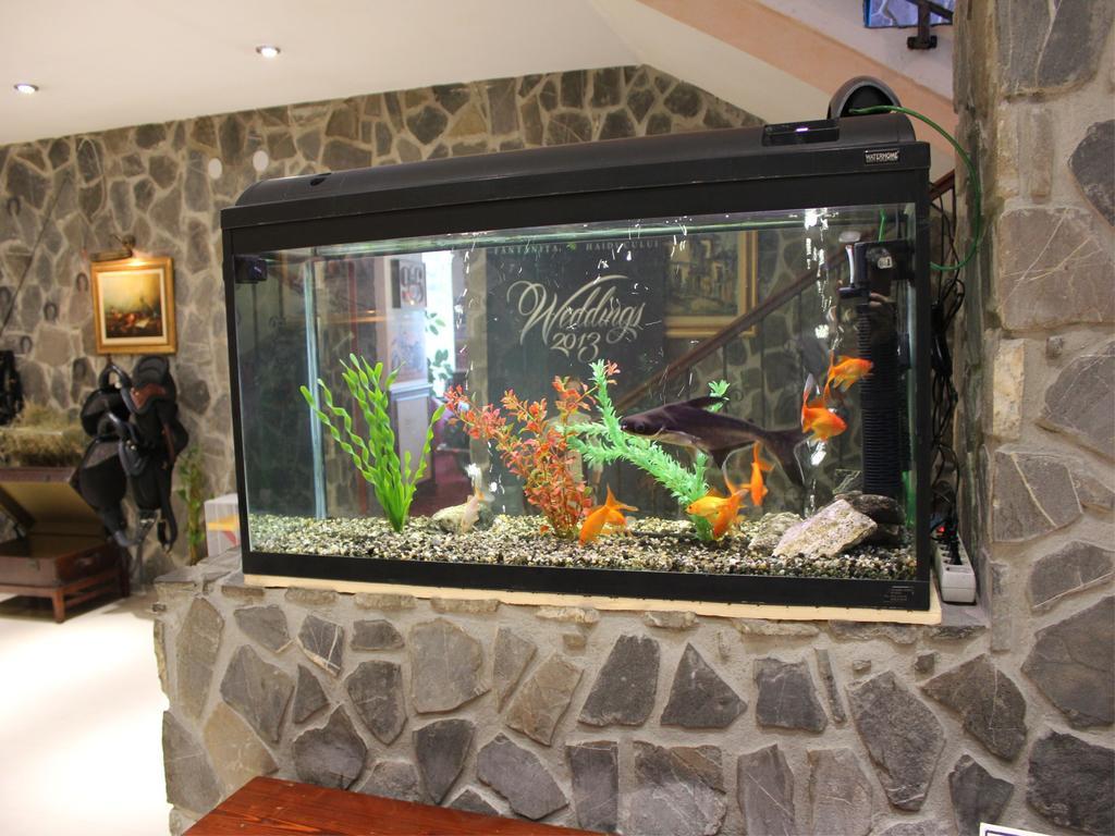 Hotel Fantanita Haiducului Bradu  Екстериор снимка