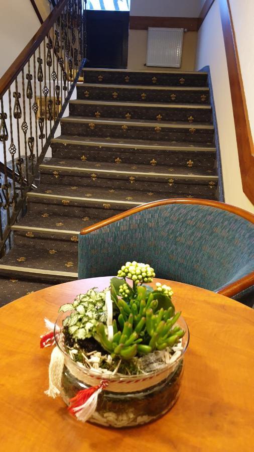 Hotel Fantanita Haiducului Bradu  Екстериор снимка